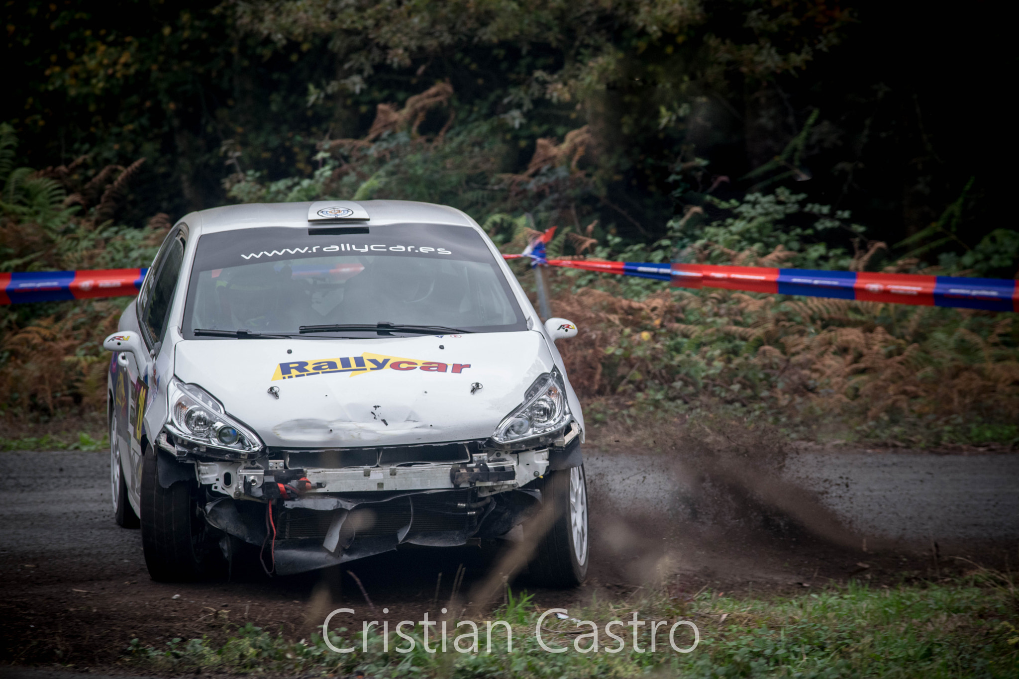 Sigma 70-200mm F2.8 EX DG OS HSM sample photo. Peugeot attack! photography