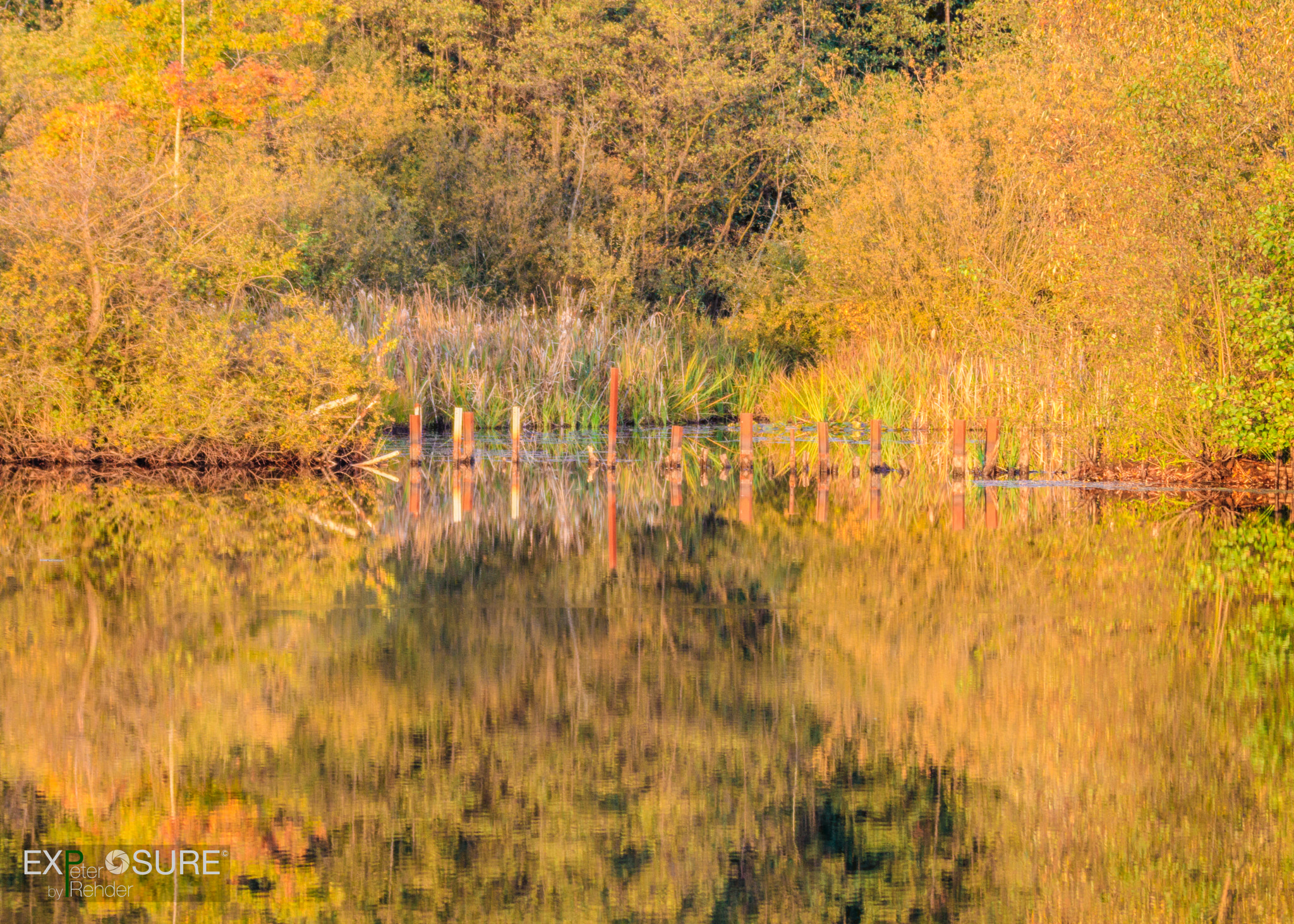 Canon EF 70-200mm F2.8L IS II USM sample photo. Autumn lake photography