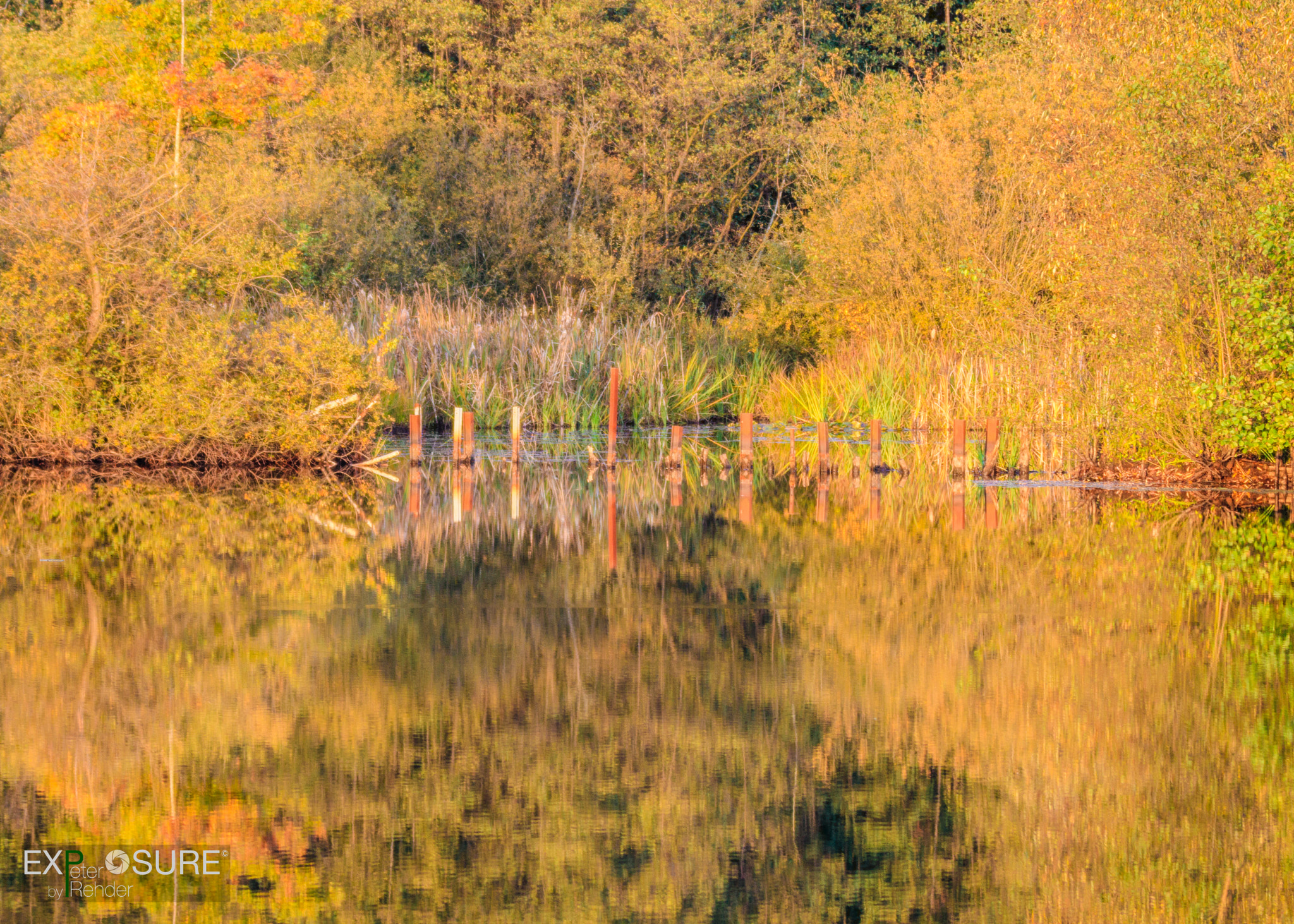 Canon EOS 80D + Canon EF 70-200mm F2.8L IS II USM sample photo. Autumn lake photography