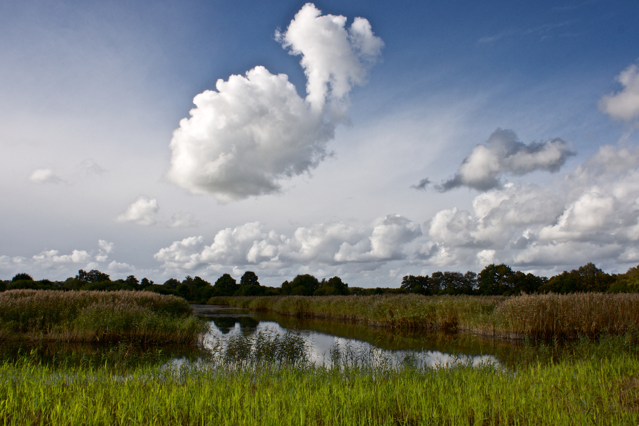 Sony Alpha DSLR-A700 sample photo. Cloud fun photography