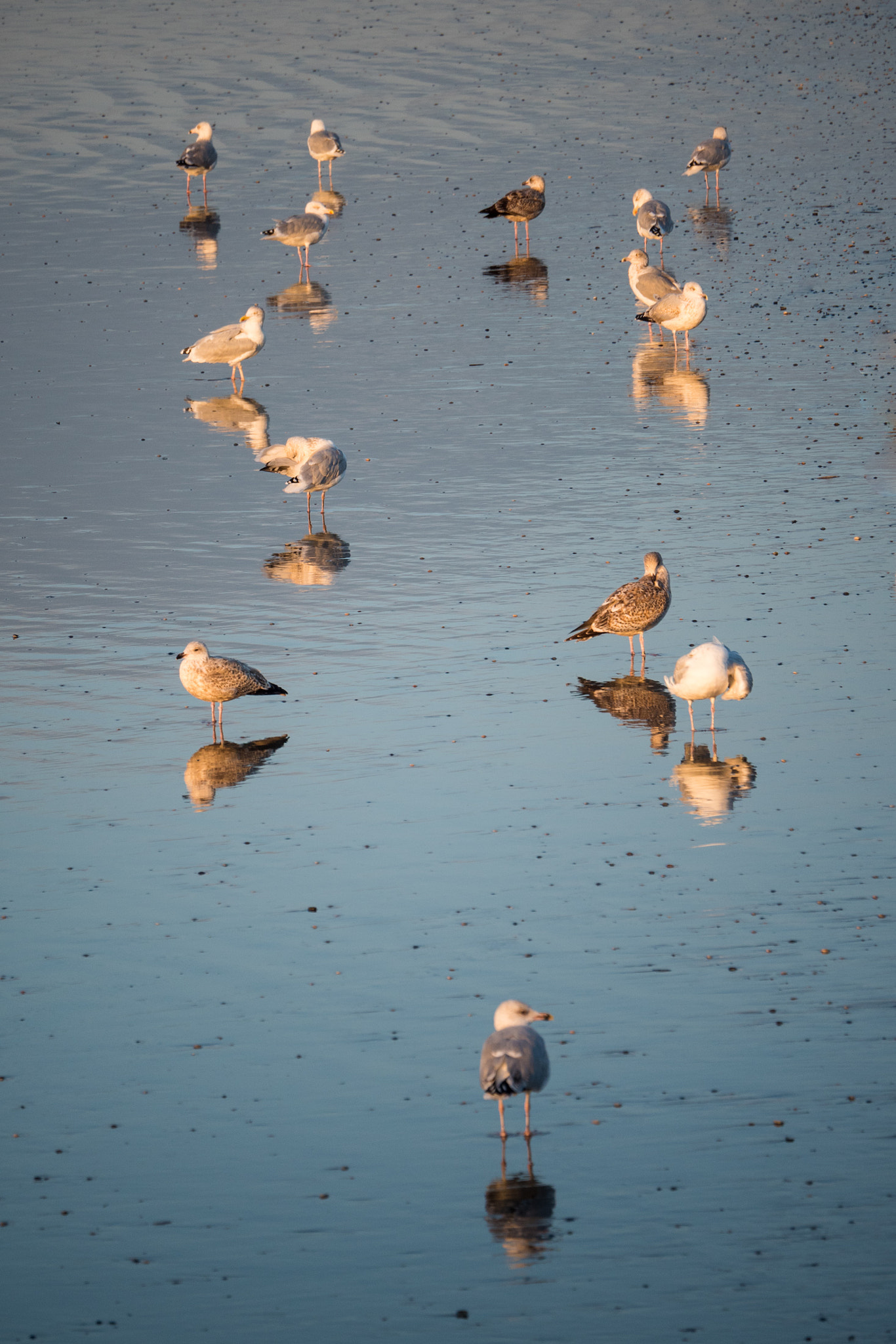 LUMIX G VARIO 45-150/F4.0-5.6 sample photo. Mirror mirror photography