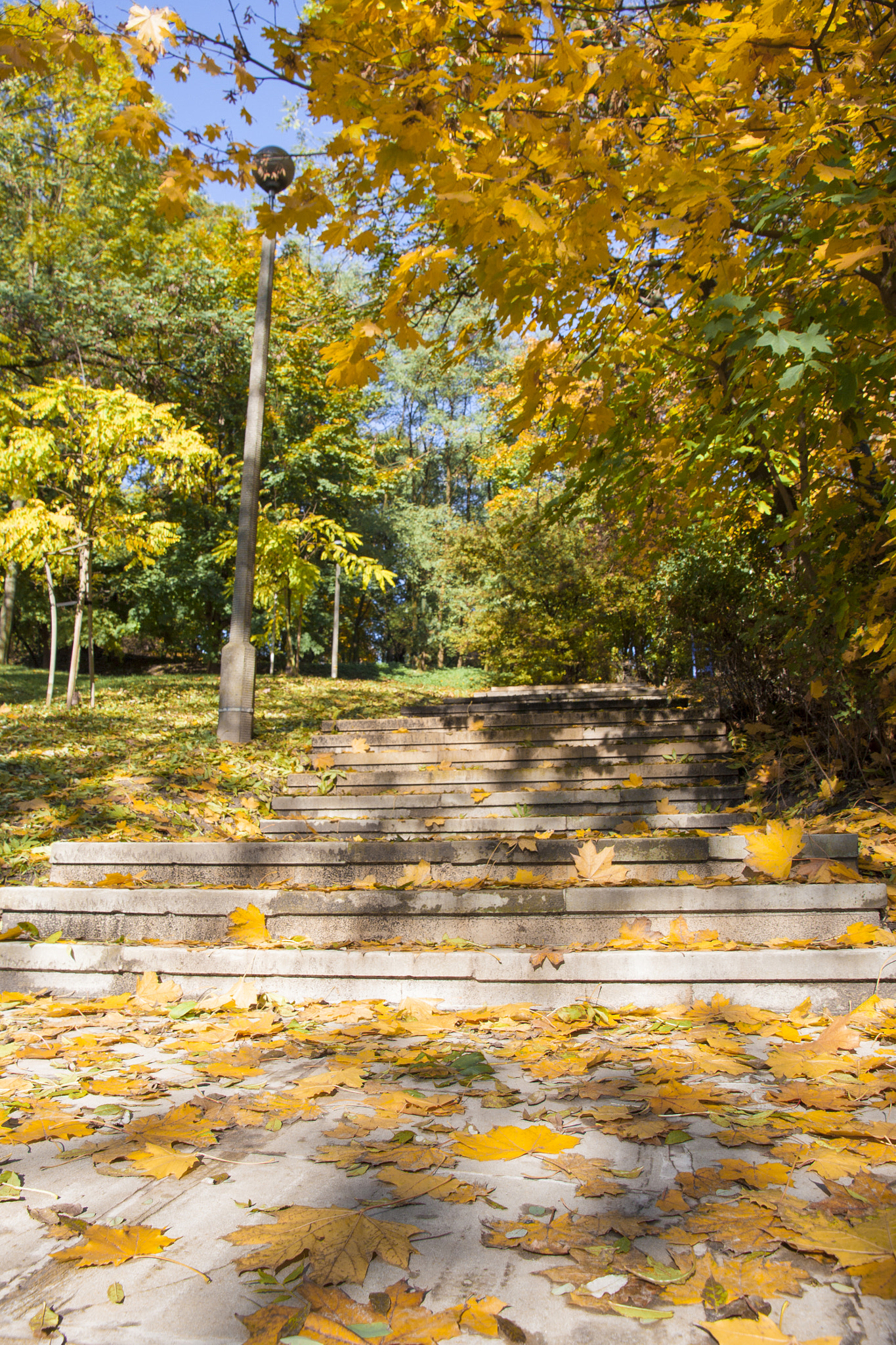 Canon EOS 50D + Canon EF-S 15-85mm F3.5-5.6 IS USM sample photo. Stairs in "golden" polish autumn photography