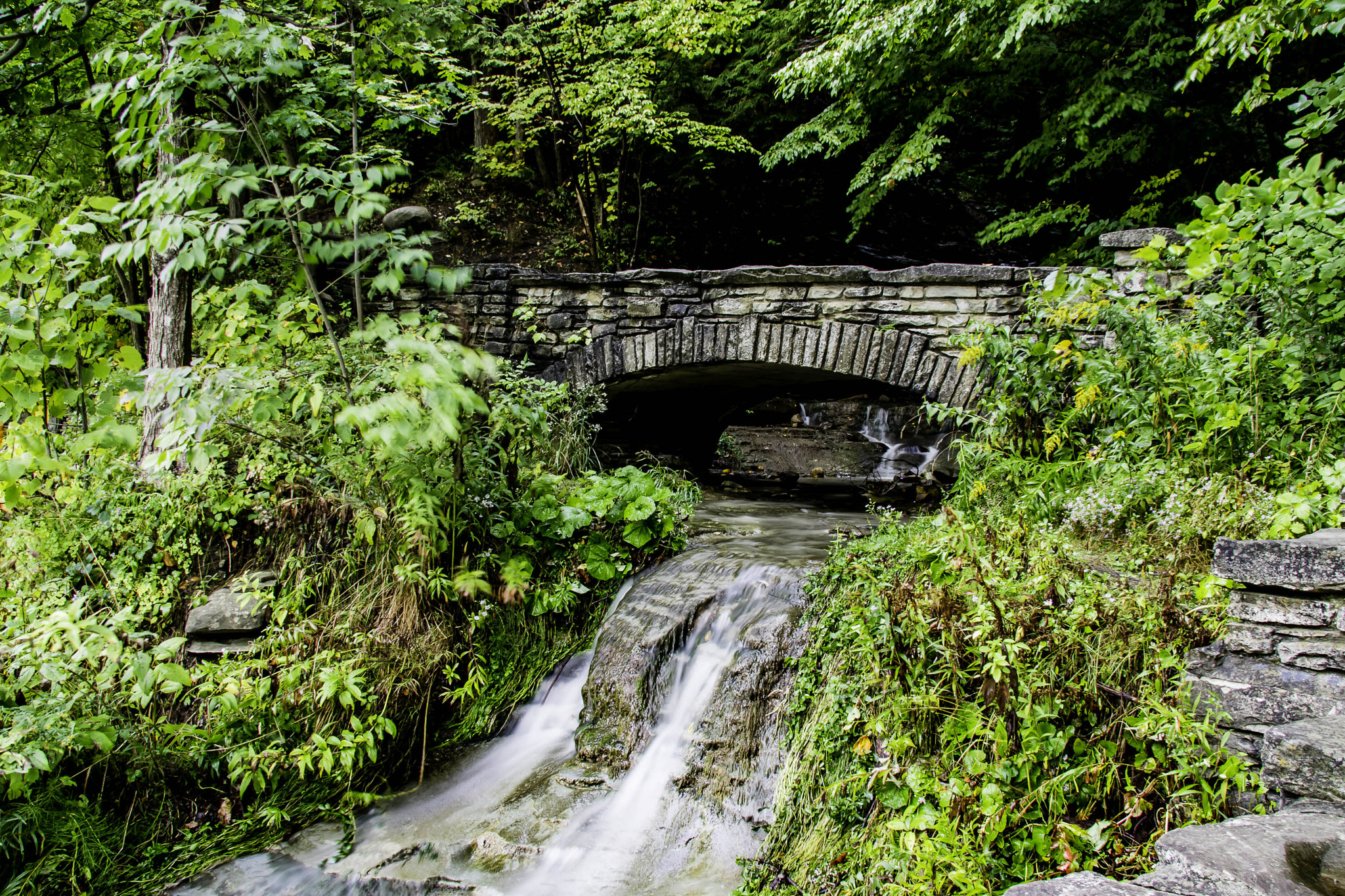 Canon EF-S 17-85mm F4-5.6 IS USM sample photo. Under the bridge photography