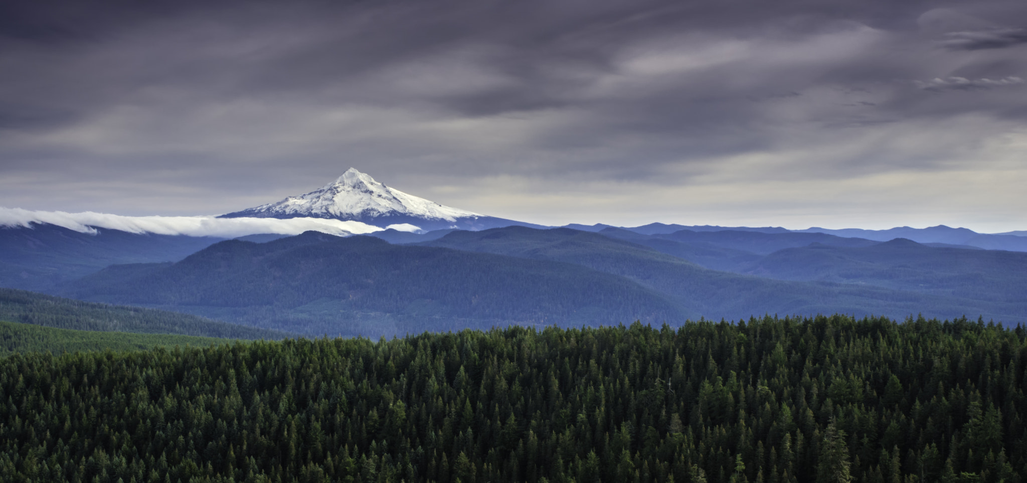 Nikon D7100 + Nikon AF Nikkor 24mm F2.8D sample photo. Mt hood from larch mountain photography