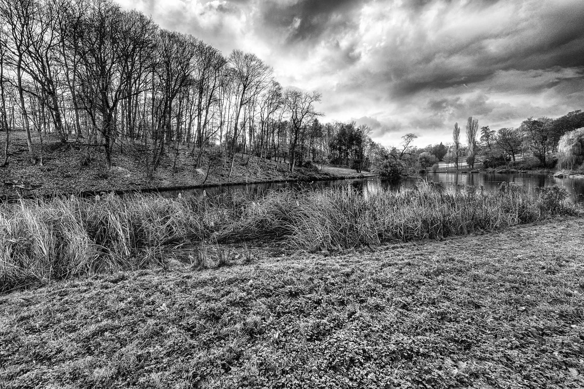 Sigma 12-24mm F4.5-5.6 II DG HSM sample photo. Parc de woluwe photography