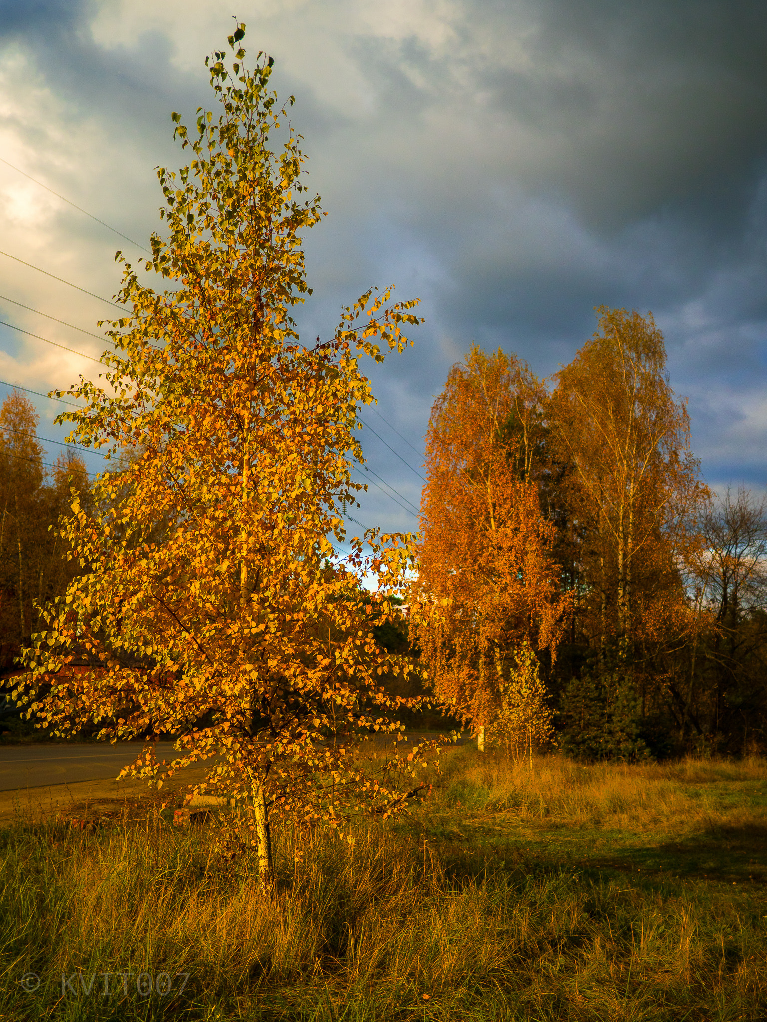 Olympus PEN-F + LUMIX G 20/F1.7 II sample photo. Autumn photography