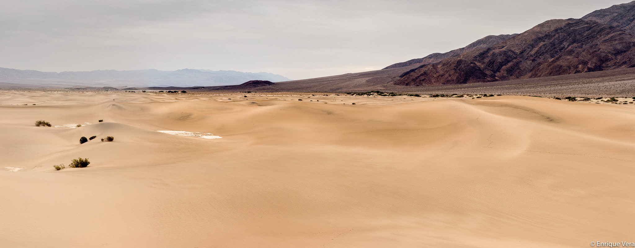 ZEISS Makro-Planar T* 50mm F2 sample photo. Mezquite sand dunes and tucky mountain photography