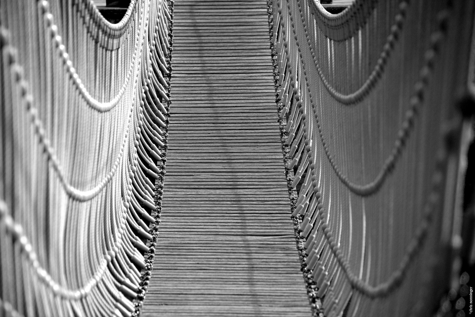 Canon EOS 40D sample photo. Groggily photography