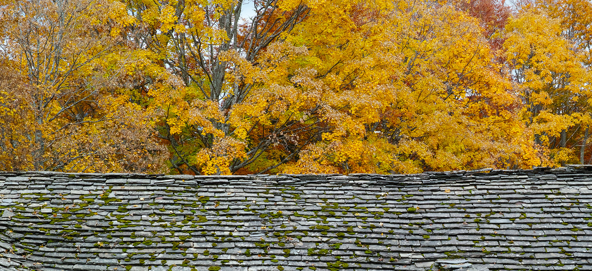 Sigma dp3 Quattro sample photo. Fall over the roof photography