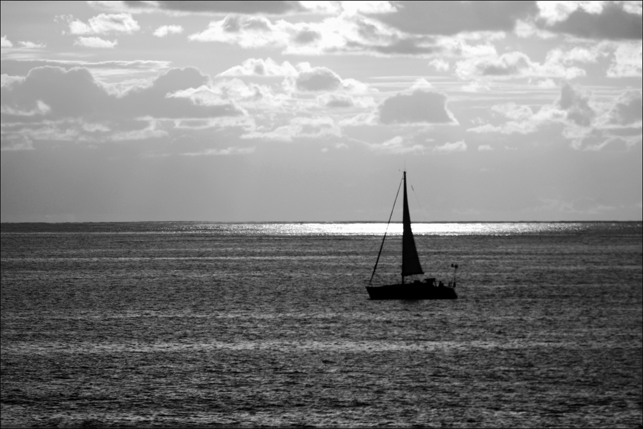Nikon D300S sample photo