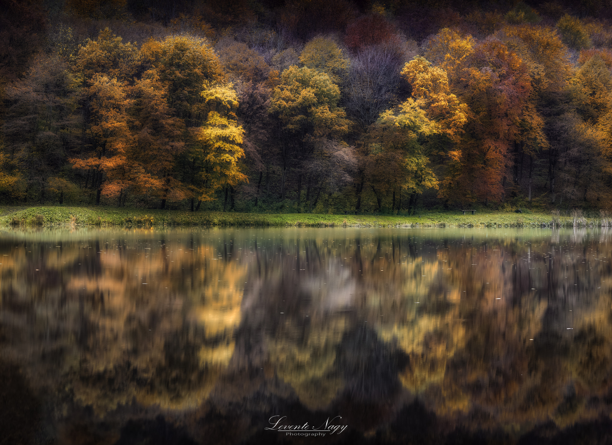 Nikon D600 + AF Nikkor 70-210mm f/4-5.6 sample photo. Autumn reflection photography