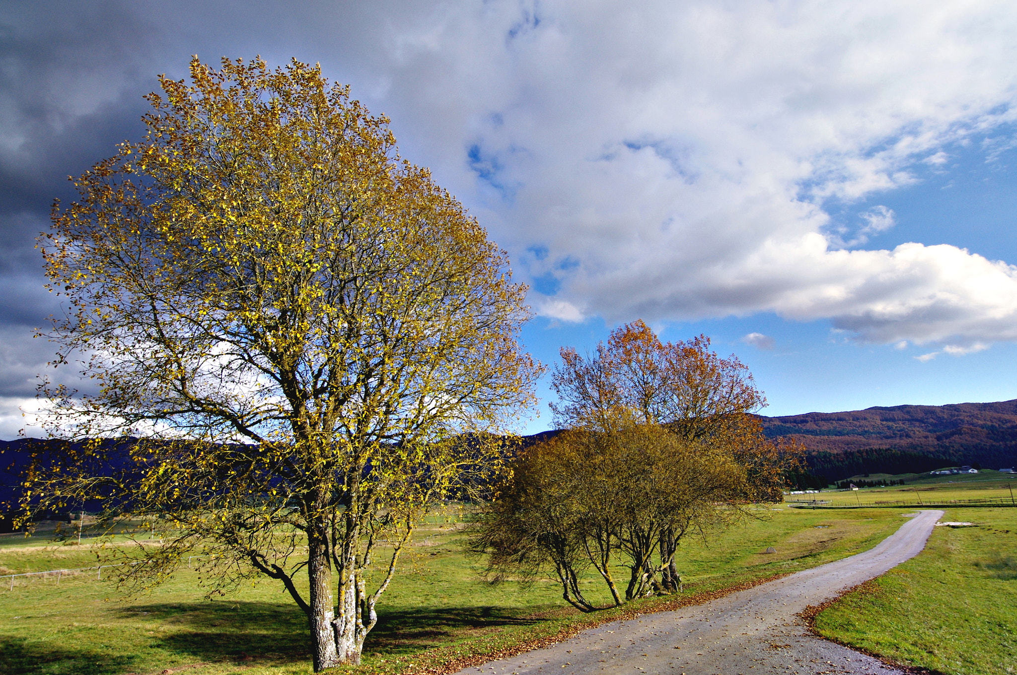 Pentax K-r + Pentax smc DA 12-24mm F4.0 ED AL (IF) sample photo. Road to the fall, 1 photography