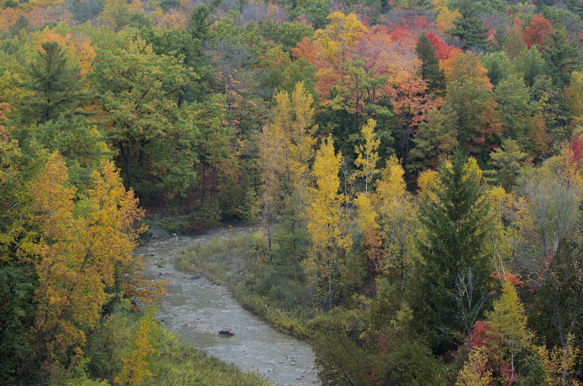 Pentax K-50 sample photo. A bend in the river photography