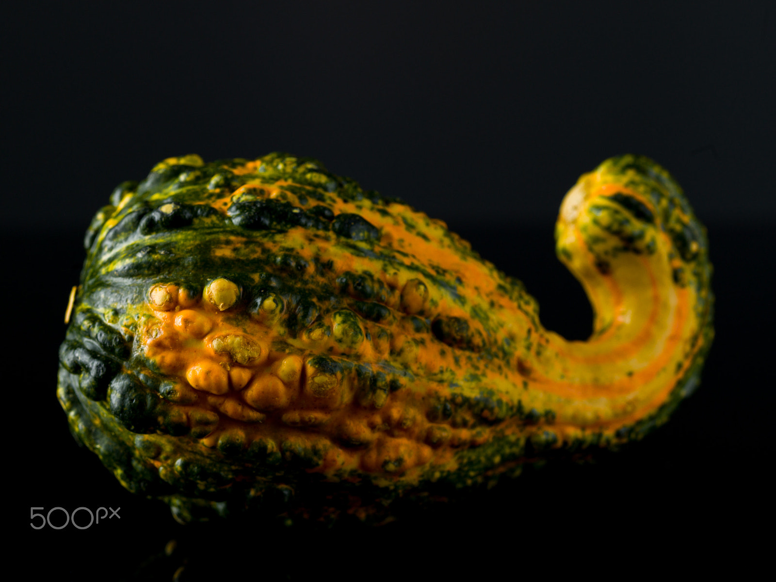 Hasselblad H4D-40 sample photo. Gourd photography