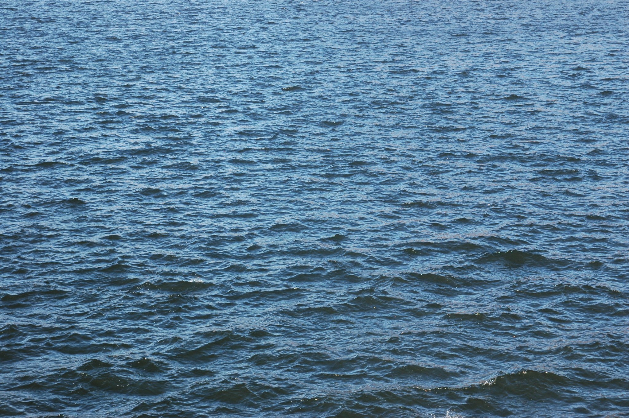 AF Zoom-Nikkor 24-120mm f/3.5-5.6D IF sample photo. Wind water interaction photography