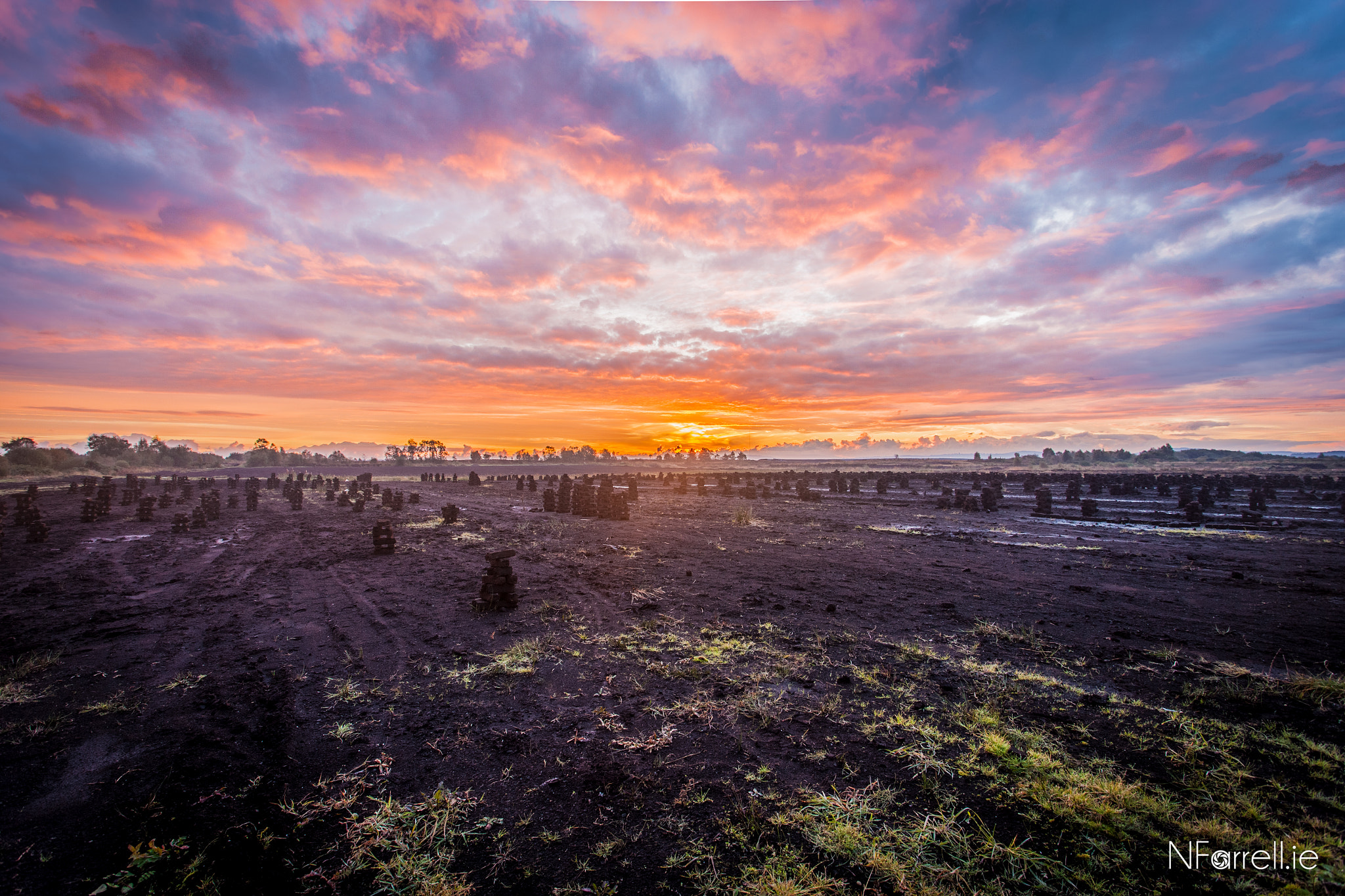 Canon EOS-1Ds Mark II sample photo. Sunrise over boglands photography