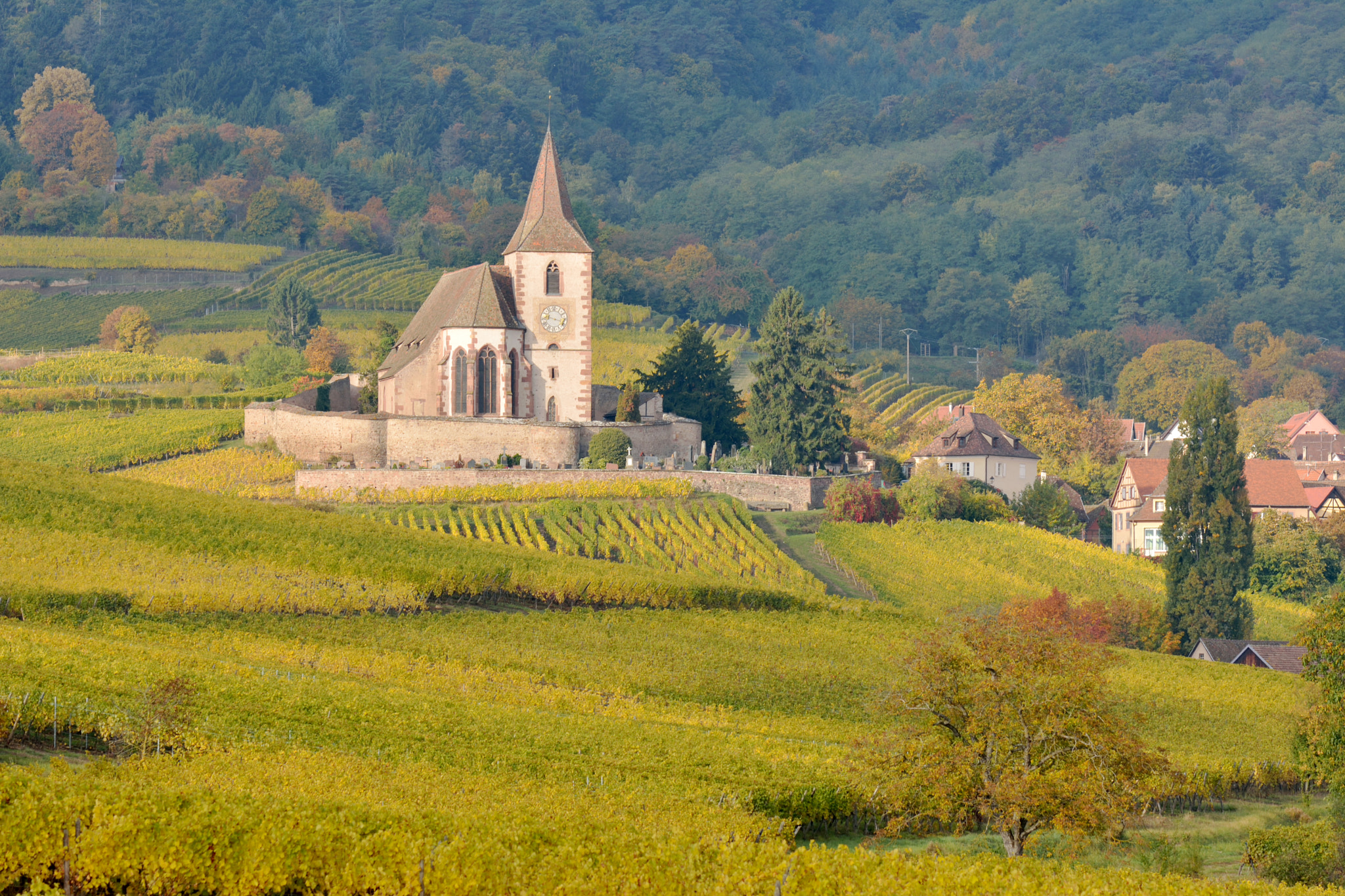 Nikon AF-S Nikkor 70-200mm F4G ED VR sample photo. église hunawihr photography
