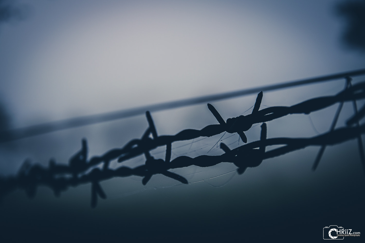 Sigma 17-70mm F2.8-4 DC Macro OS HSM | C sample photo. Barbed wire photography