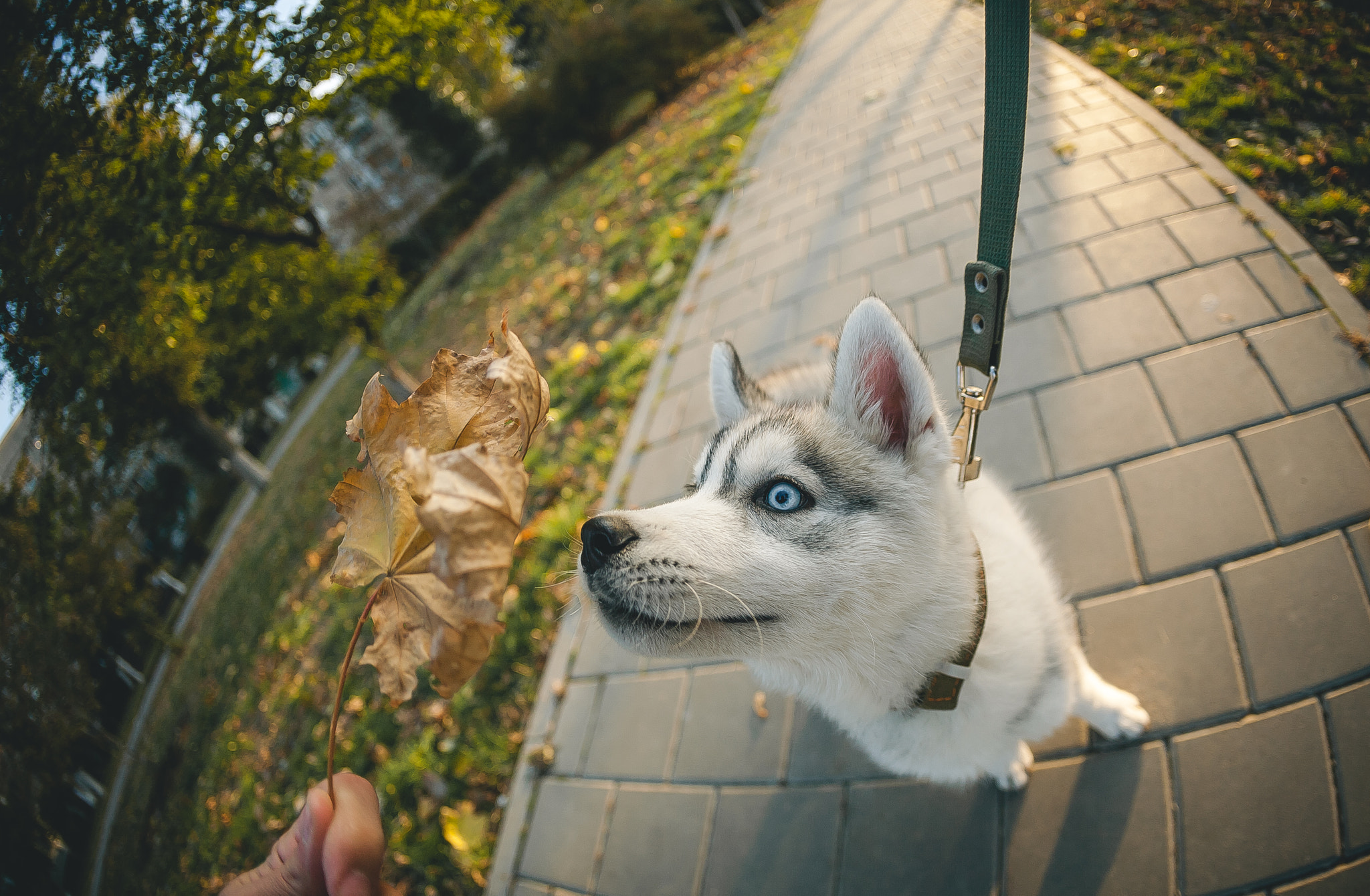 Canon EOS 5D + Canon EF 15mm F2.8 Fisheye sample photo. Rich photography