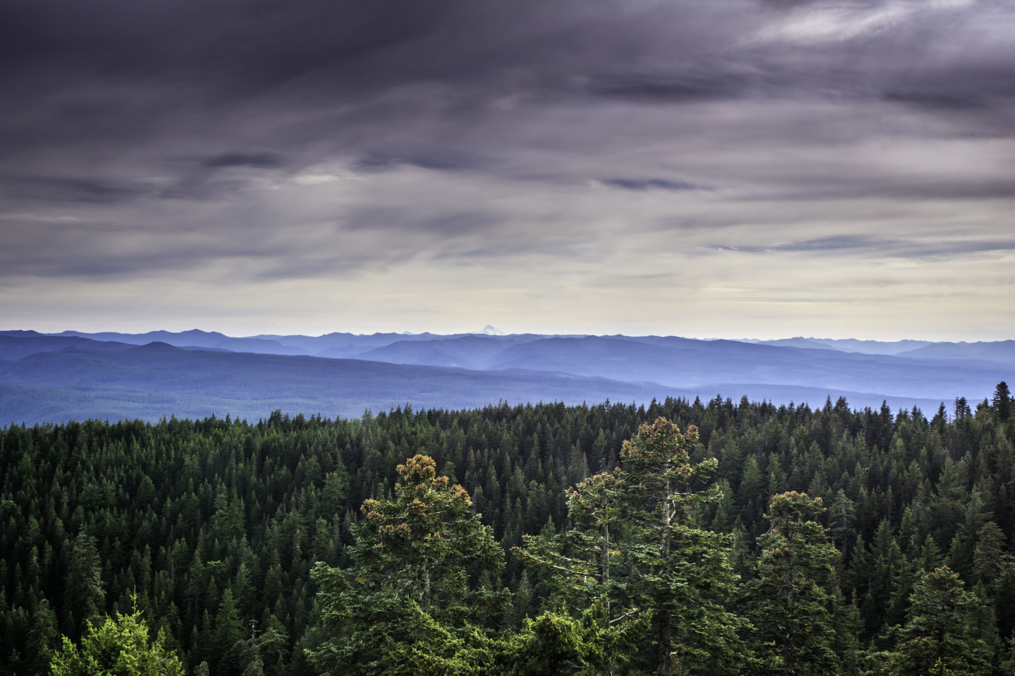 Nikon D7100 sample photo. Mount hood national forest photography