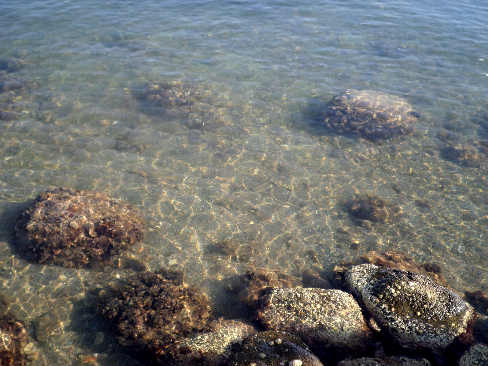 Samsung DV150F/DV151F/DV155F sample photo. Sea photography