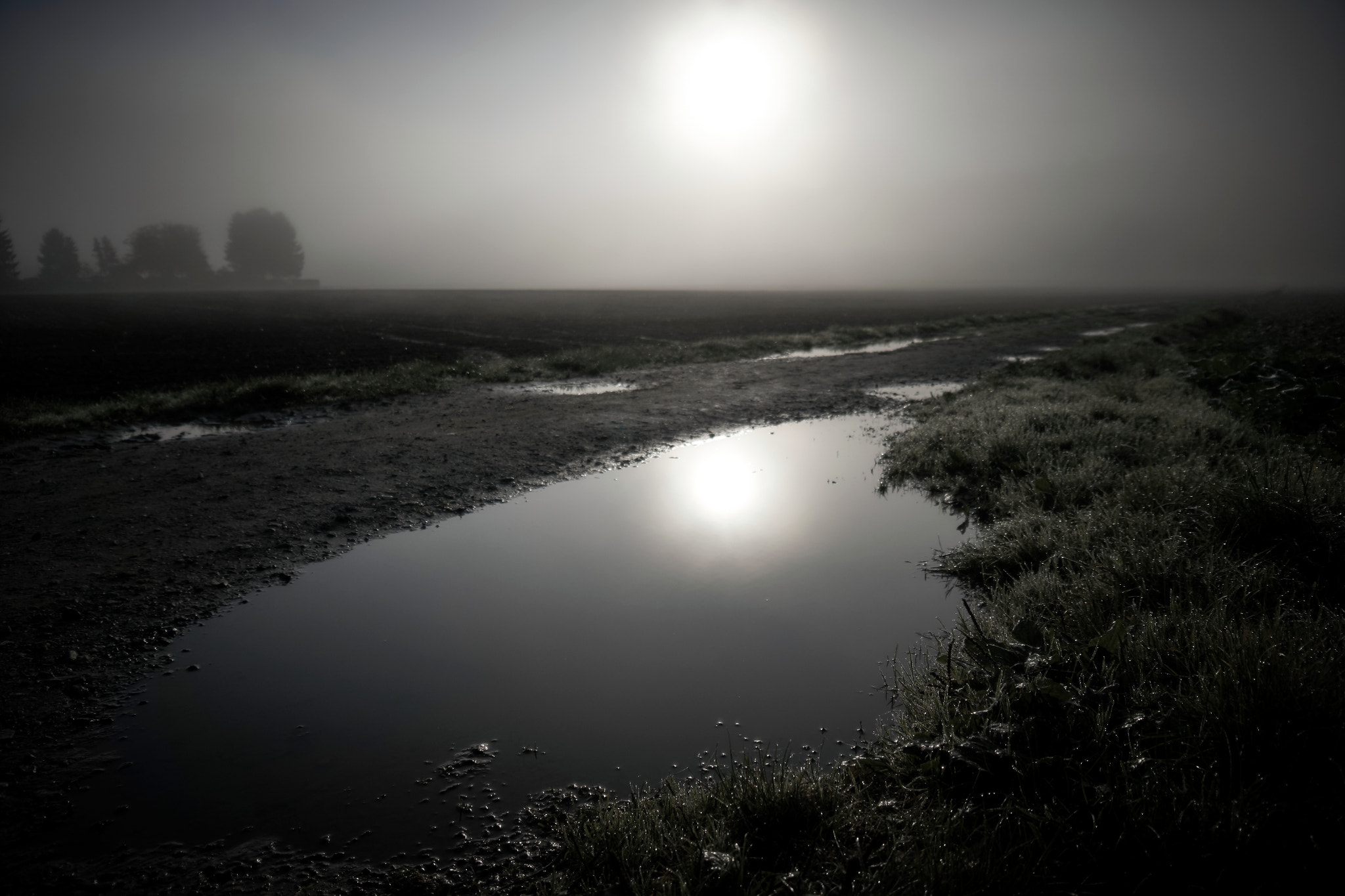 Sony ILCA-77M2 sample photo. Autumn morning photography