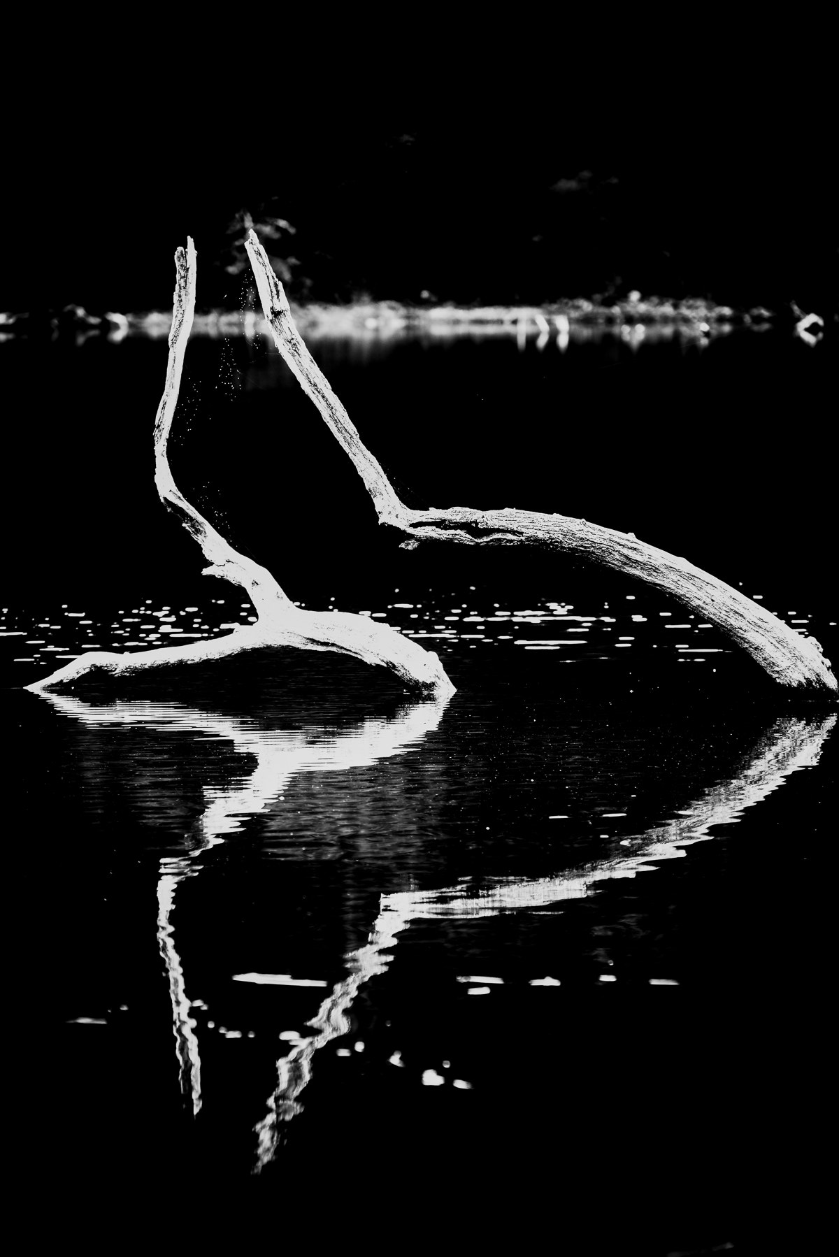 Sigma 70-200mm F2.8 EX DG Macro HSM II sample photo. Abstraction photography