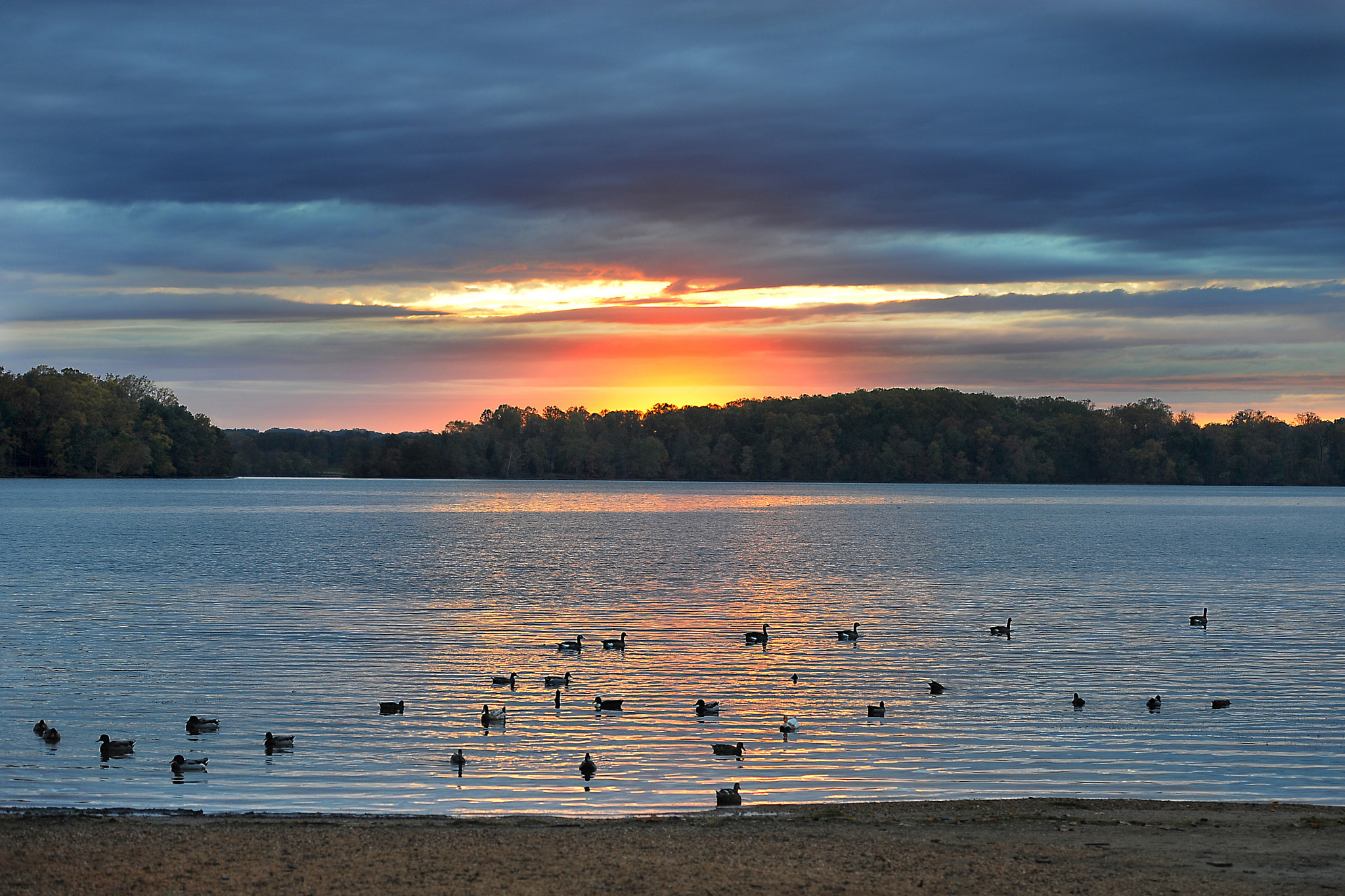 Nikon D3 sample photo. Geese at sunset photography
