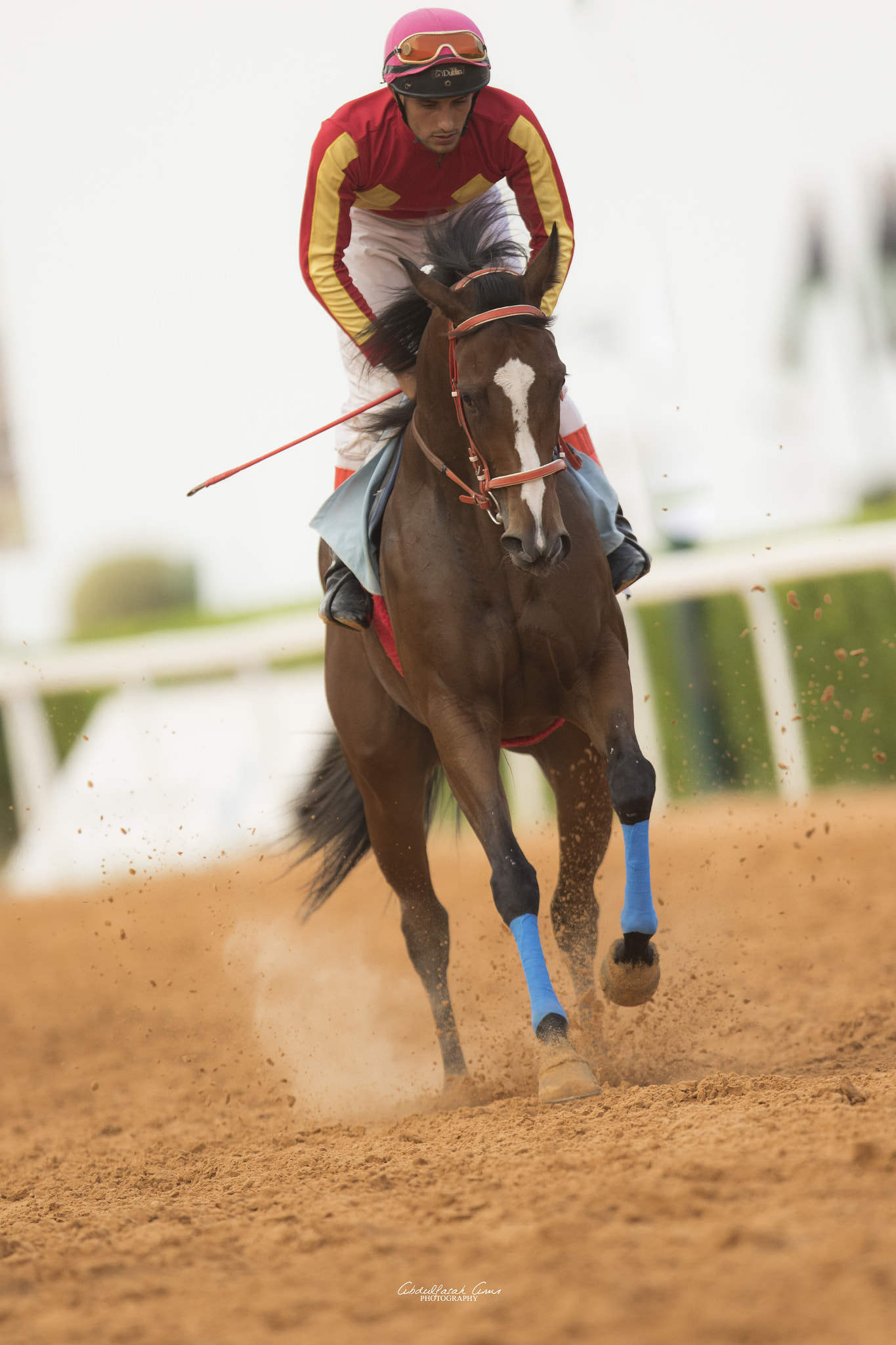 Canon EF 400mm F2.8L IS USM sample photo