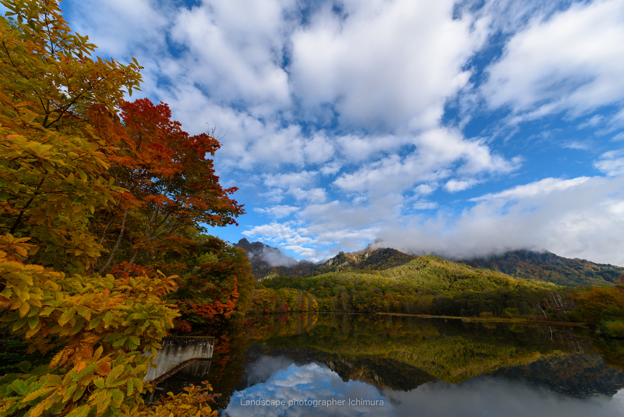 Sigma 12-24mm F4.5-5.6 II DG HSM sample photo. Autumn leaves photography