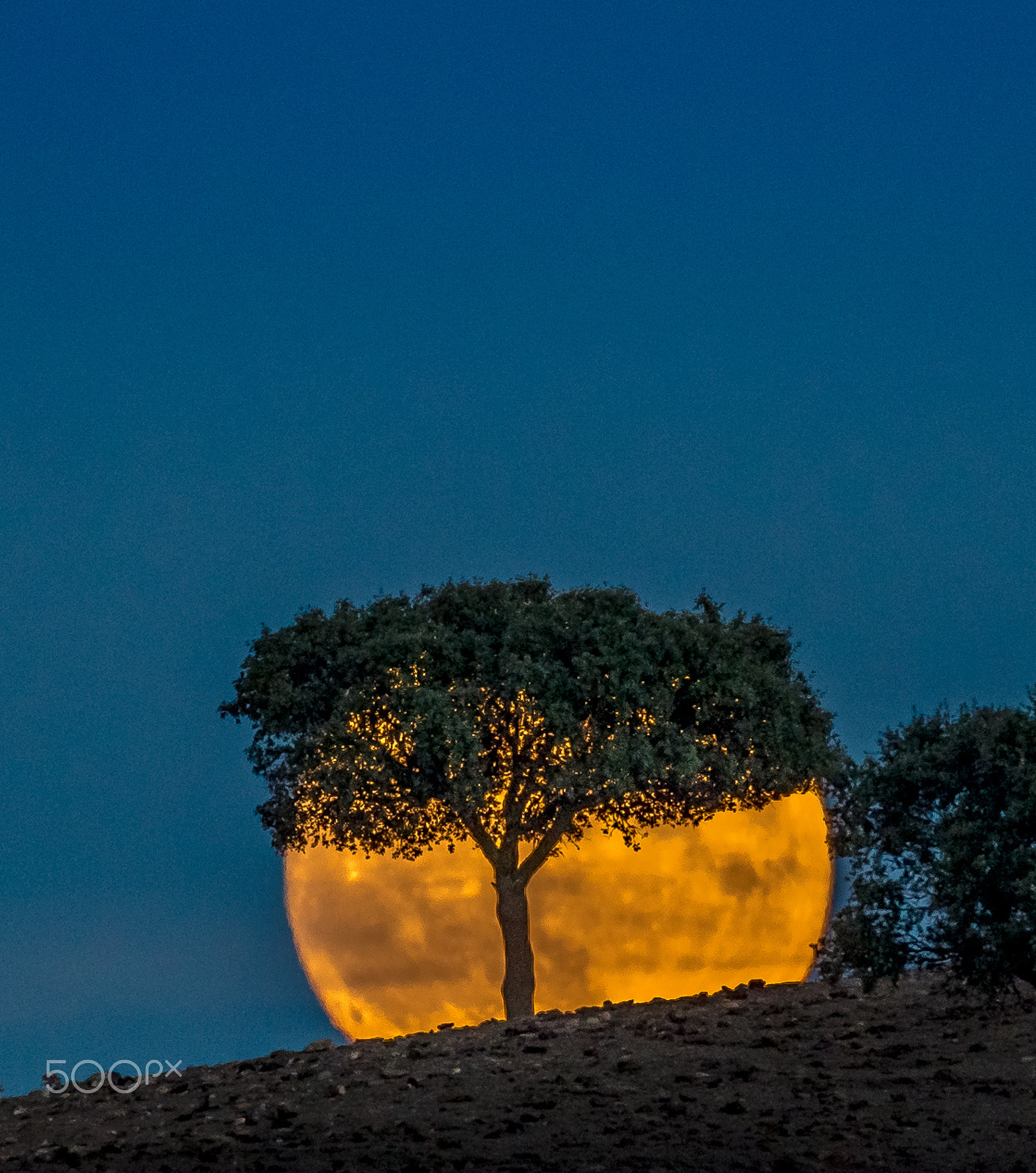 Nikon AF-S Nikkor 200-500mm F5.6E ED VR sample photo. Moon rise photography