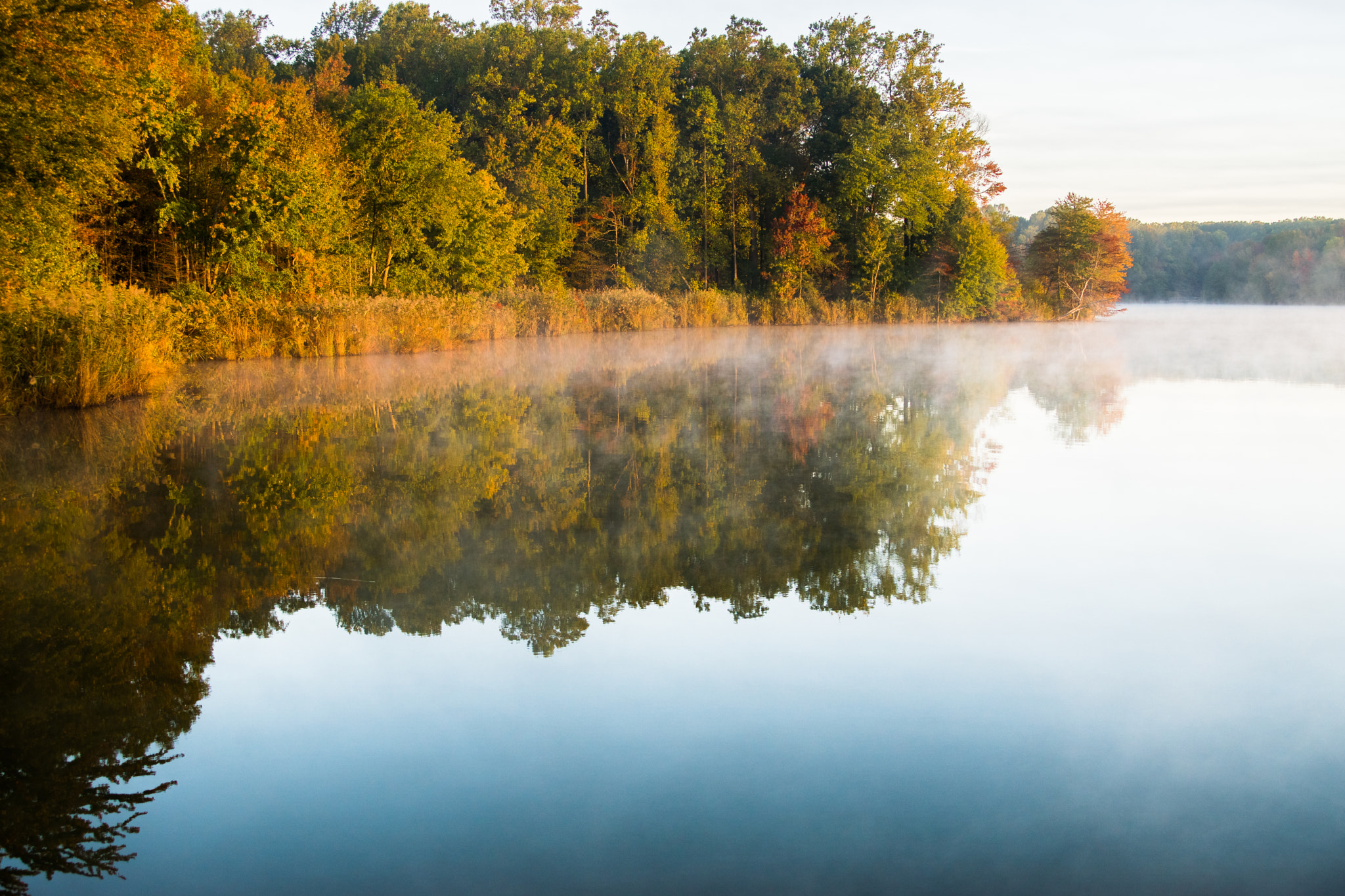 Sony ILCA-77M2 + Tamron SP 24-70mm F2.8 Di VC USD sample photo. Morning at lums pond photography