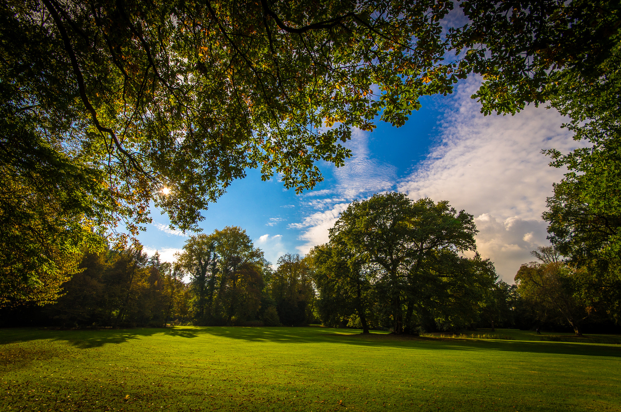 Sigma AF 10-20mm F4-5.6 EX DC sample photo. Autumn photography