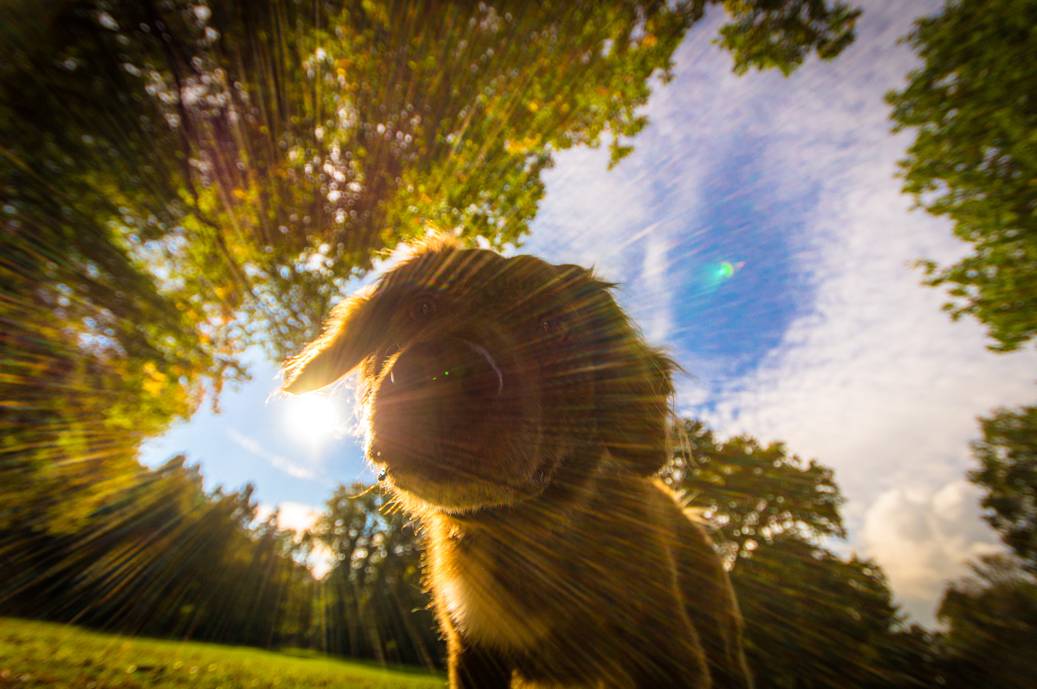 Sigma AF 10-20mm F4-5.6 EX DC sample photo. Milan photography