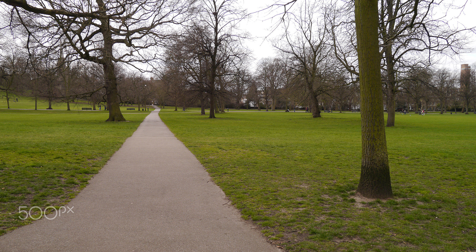 LUMIX G VARIO PZ 14-42/F3.5-5.6 sample photo. Greenwich park photography