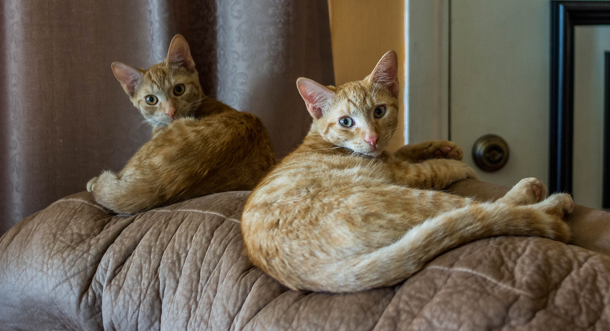 Nikon D7200 + AF Nikkor 28mm f/2.8 sample photo. Dsc photography