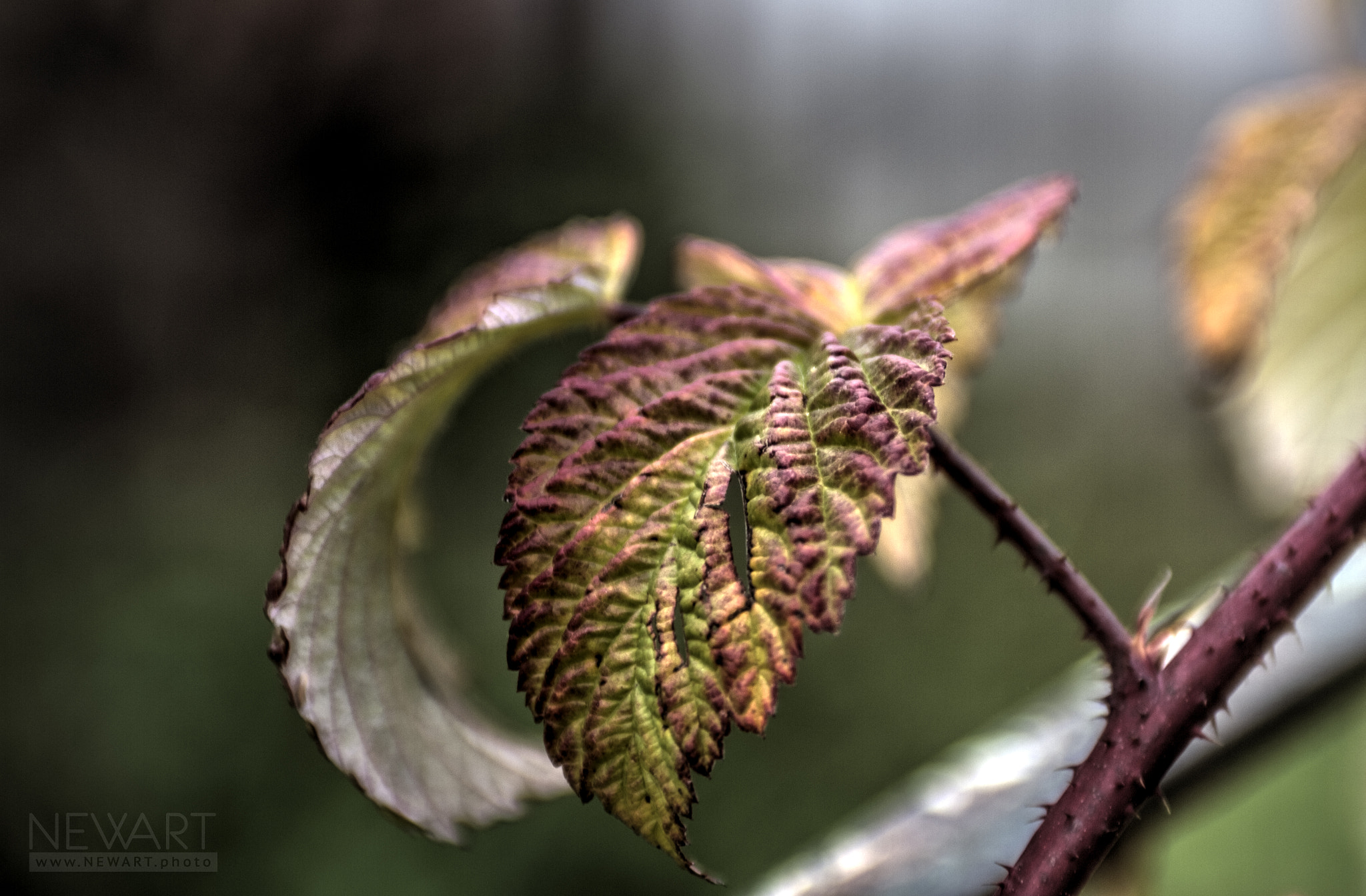 EF28-70mm f/2.8L USM sample photo. 5820 photography