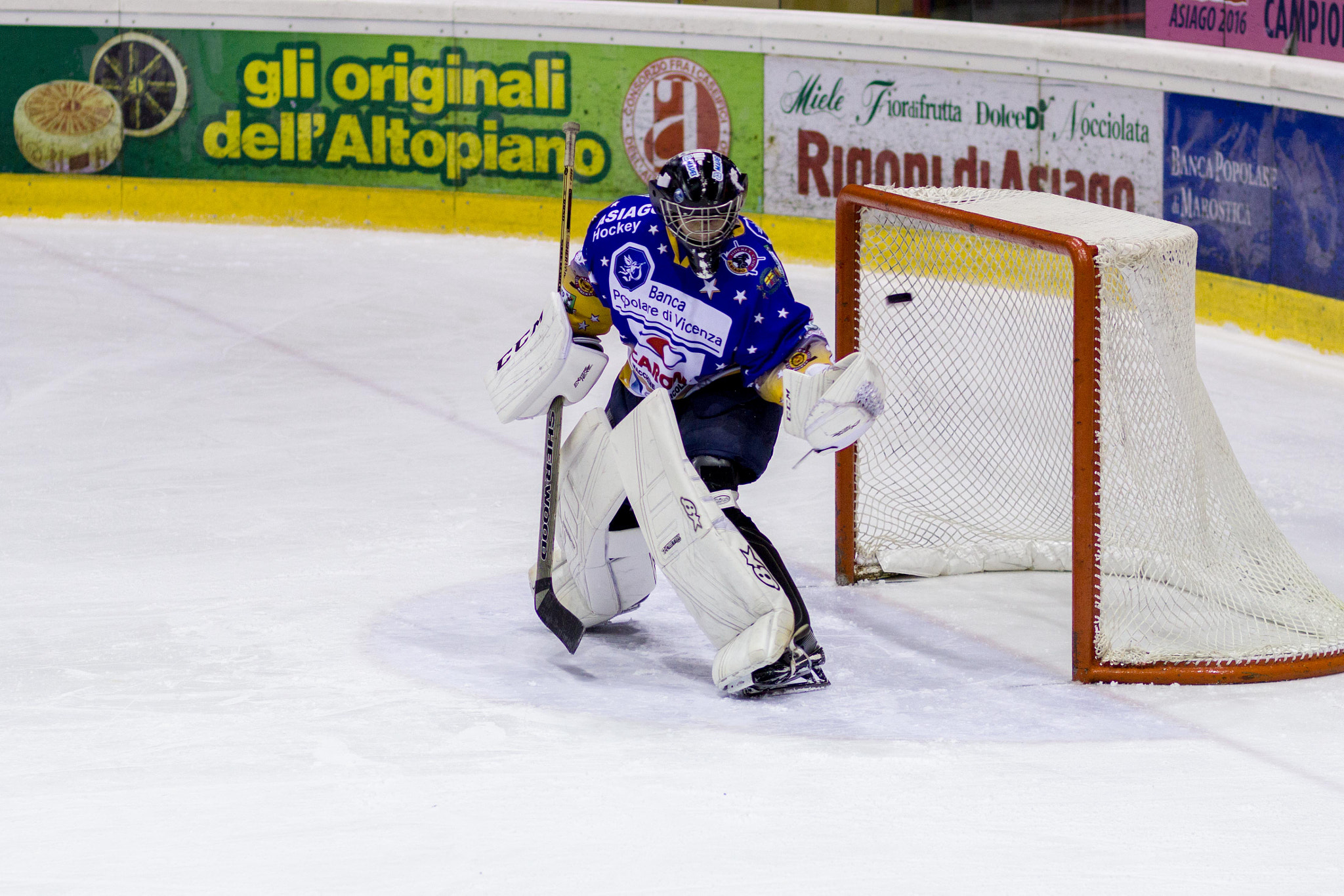 Canon EOS 550D (EOS Rebel T2i / EOS Kiss X4) + Canon EF 85mm F1.8 USM sample photo. Hockey photography