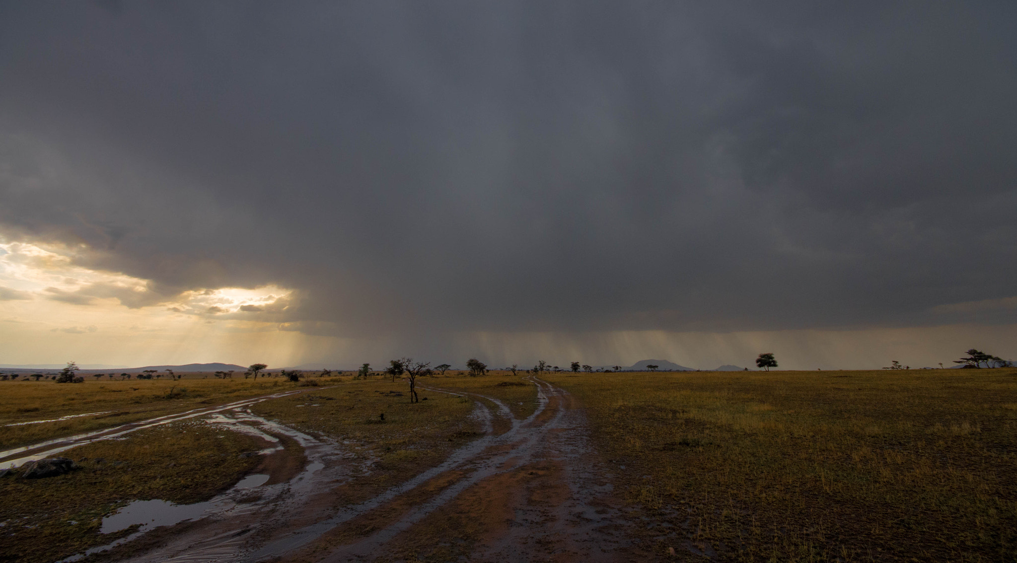 Pentax K-5 IIs sample photo. Serengeti's hope photography