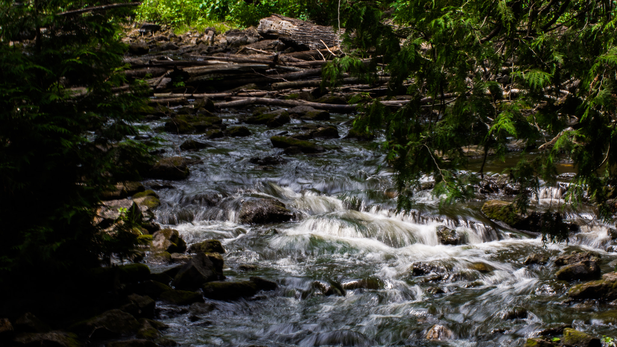 Olympus PEN E-PL5 sample photo. Beaver dam photography