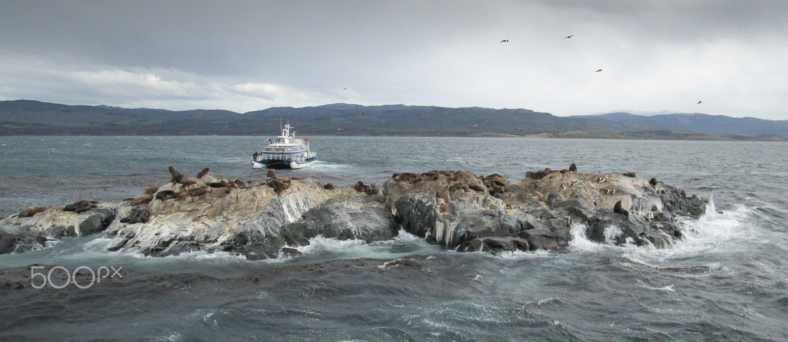 Canon PowerShot A3500 IS sample photo. Beagle channel - ushuaia argentina photography