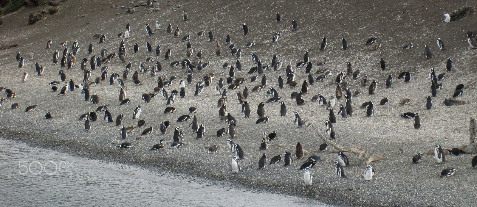 Canon PowerShot A3500 IS sample photo. Beagle channel - ushuaia argentina photography