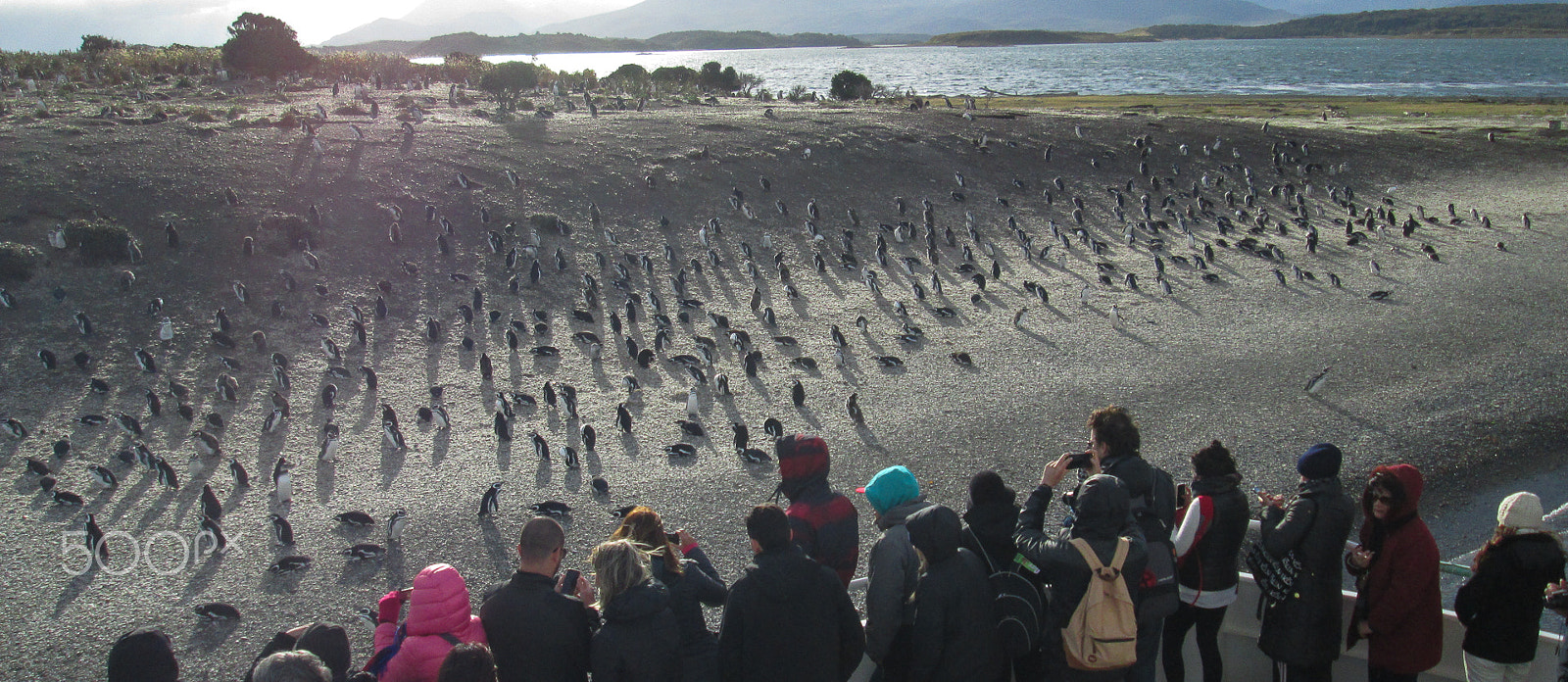 Canon PowerShot A3500 IS sample photo. Beagle channel - ushuaia argentina photography