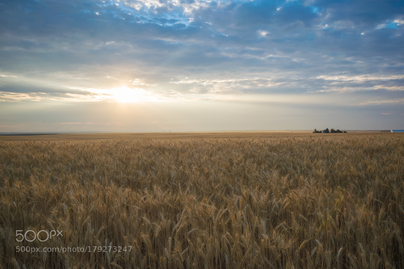Nikon D5300 sample photo. Golden sunrise photography
