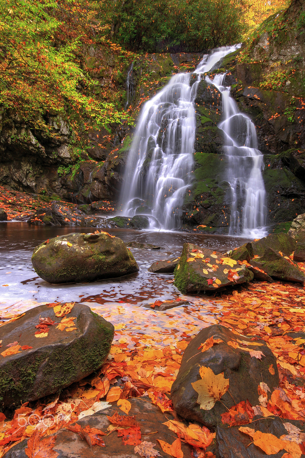 Sigma 10-20mm F4-5.6 EX DC HSM sample photo. Autumn gold photography