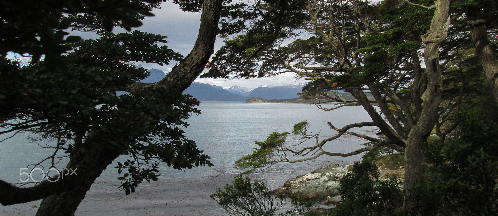 Canon PowerShot A3500 IS sample photo. Argentina ushuaia terra del fuego nature park photography