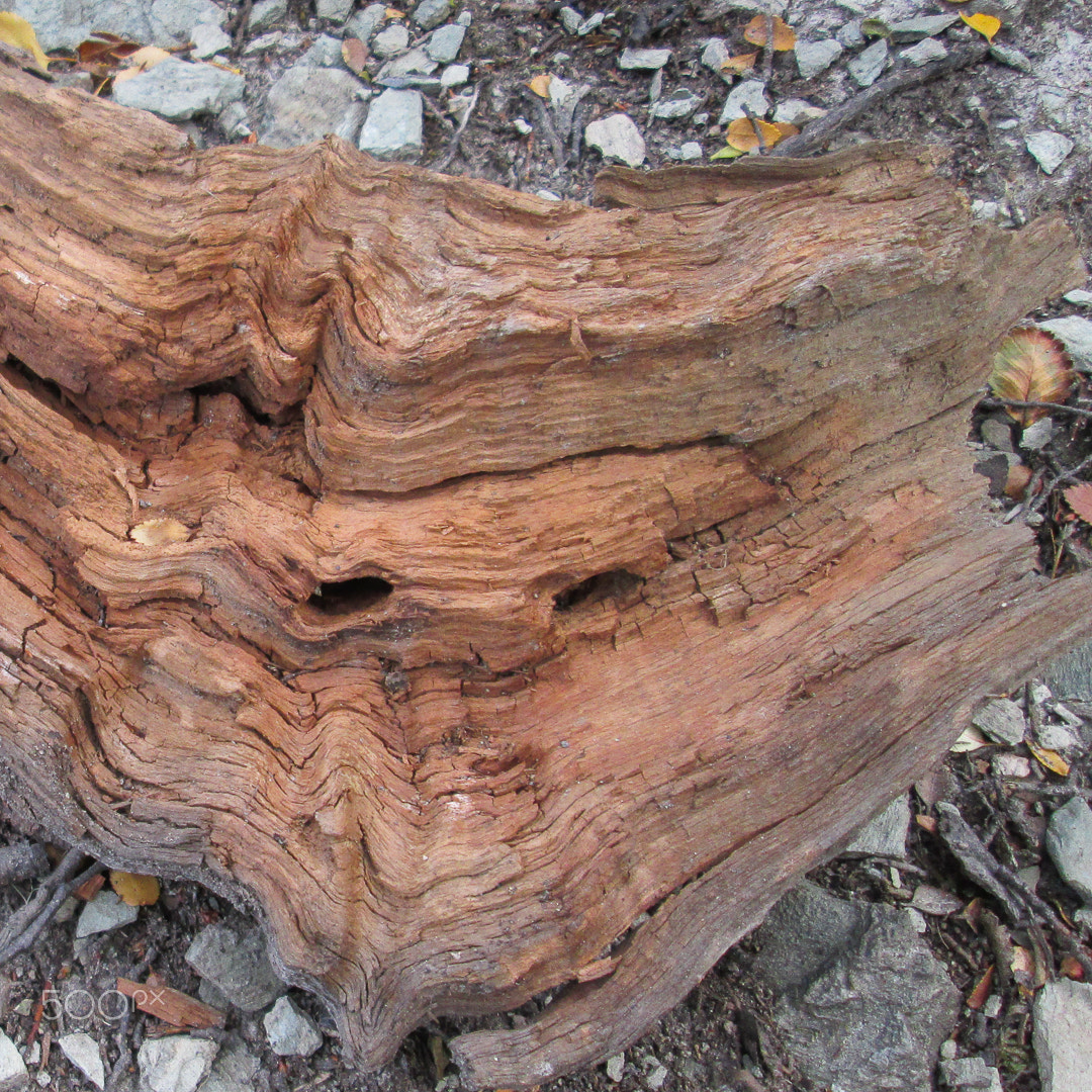 Canon PowerShot A3500 IS sample photo. Argentina ushuaia terra del fuego nature park photography