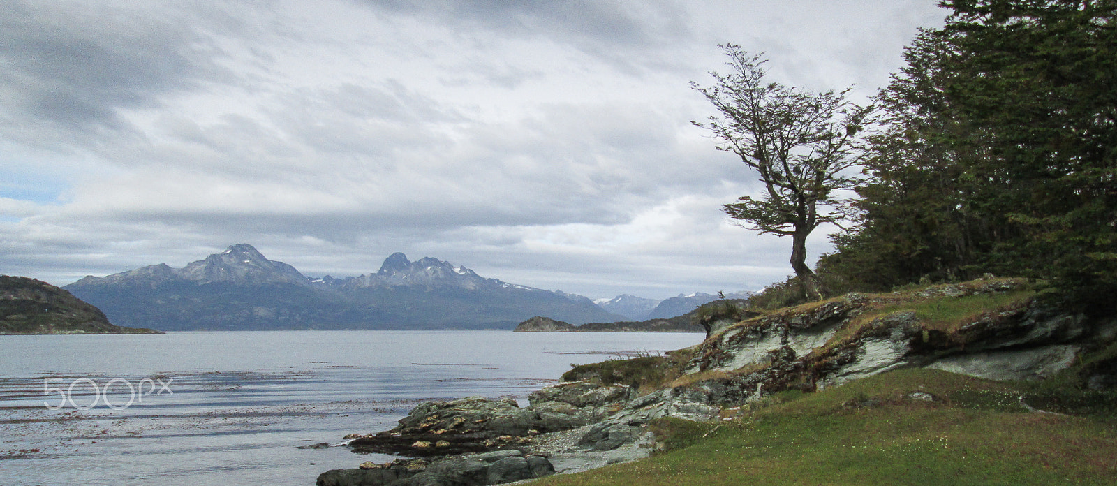 Canon PowerShot A3500 IS sample photo. Argentina ushuaia terra del fuego nature park photography