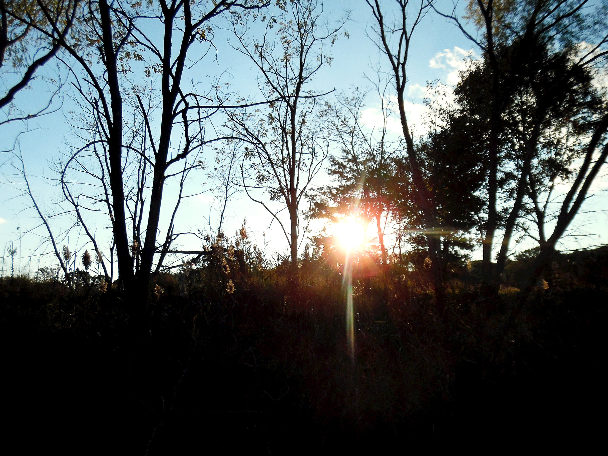 Samsung WB35F/WB36F/WB37F sample photo