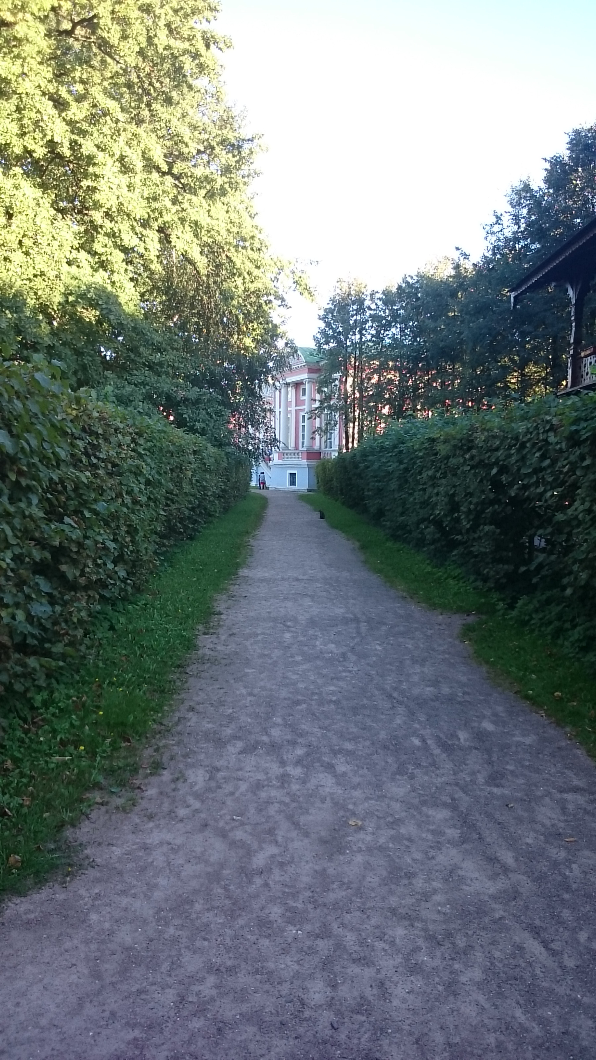 Sony Xperia Z Ultra sample photo. In kuskovo park photography